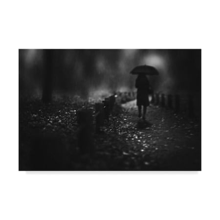 Trademark Fine Art Teruhiko Tsuchida 'Rain 1' Canvas Art, 12x19 1X06917-C1219GG